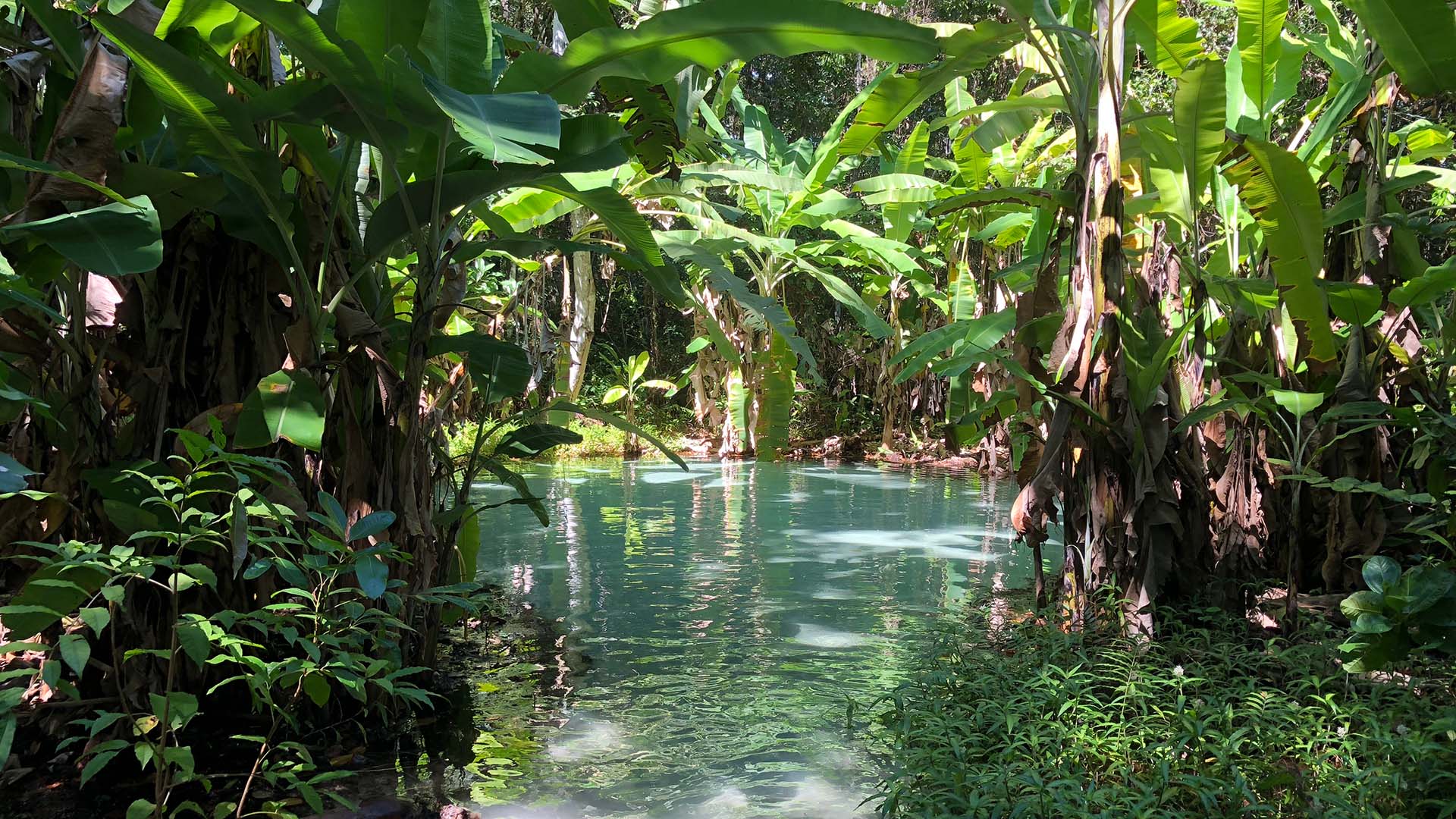 O Jalapão abriga maravilhas naturais que encantam qualquer viajante.