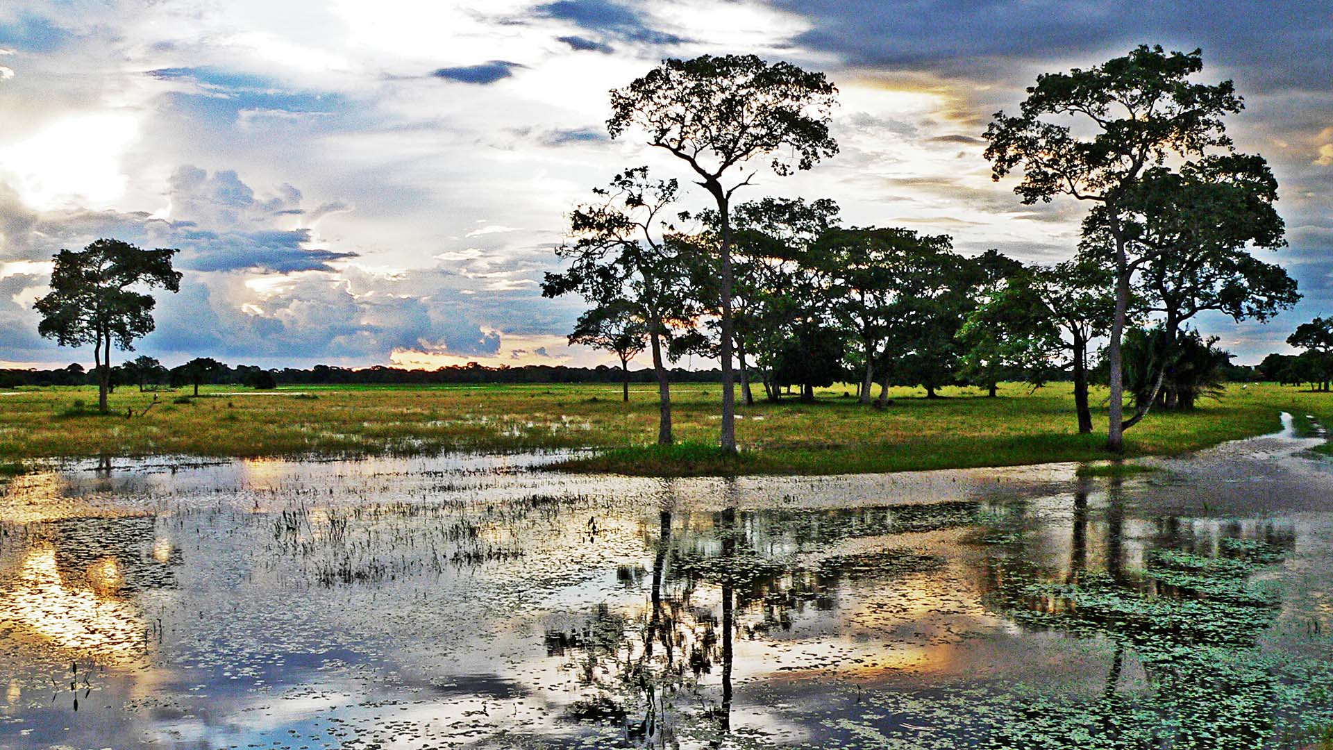 As muitas fazendas da região do Pantanal preservam ecossistemas que só esta região pode oferecer ao viajante.