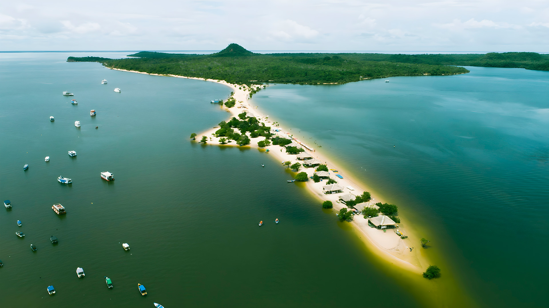 Explore áreas remotas e descubra toda a riqueza da fauna e flora do Pará.