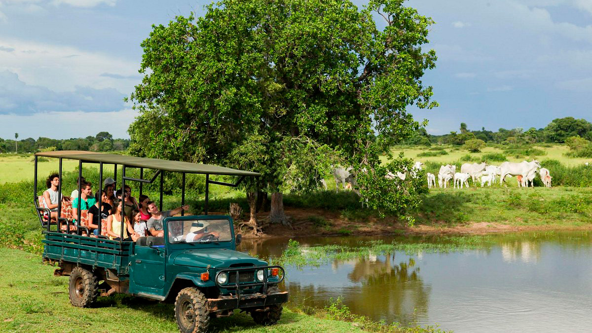 Fazenda Pequi (MS)