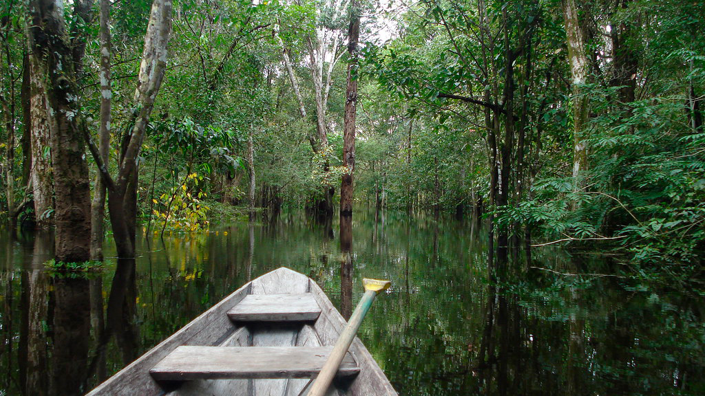 Parque Ecológico do Janauari