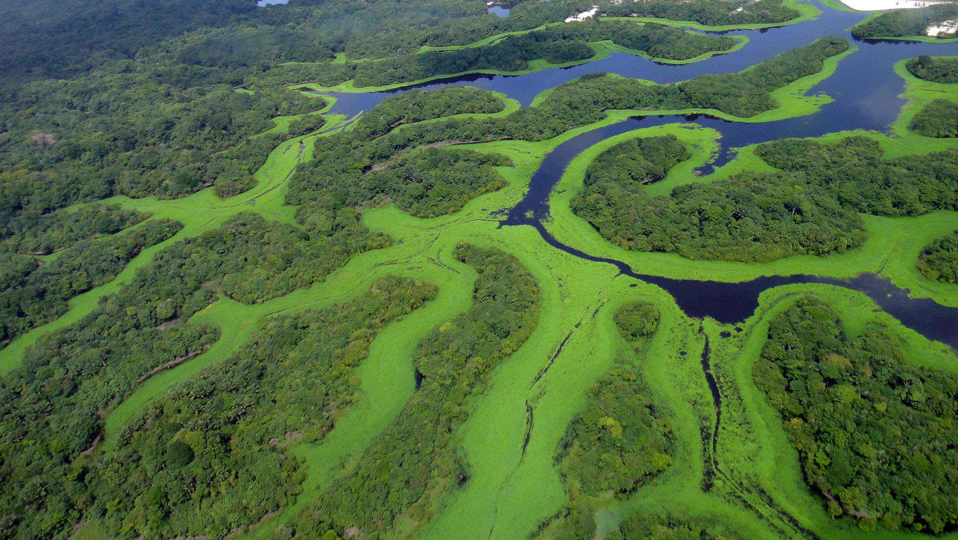 Parque Nacional de Anavilhanas